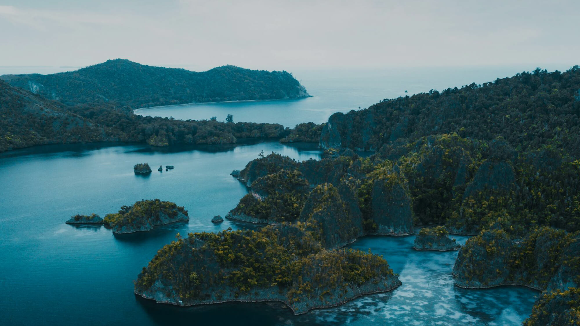 Rental Mobil Jakarta